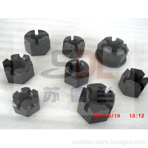 Different Sizes Black Slotted Nuts for Bolts